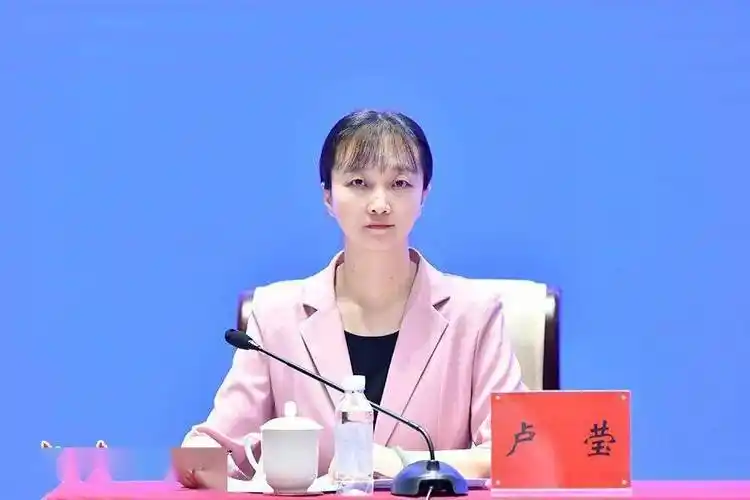 市委常委,敦煌市委书记石琳,敦煌市委副书记王金,敦煌市副市长原娜
