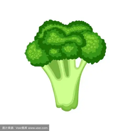 白色背景上分离的新鲜西兰花.有机食品.卡通风格.矢量插图设计.