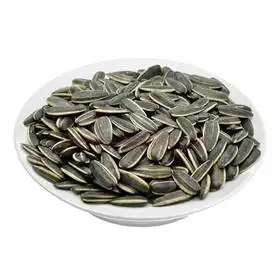 散装干炒瓜子(大) 500g