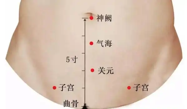 艾灸子宫的好处与功效