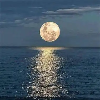 微信最吉利的好看头像有意境