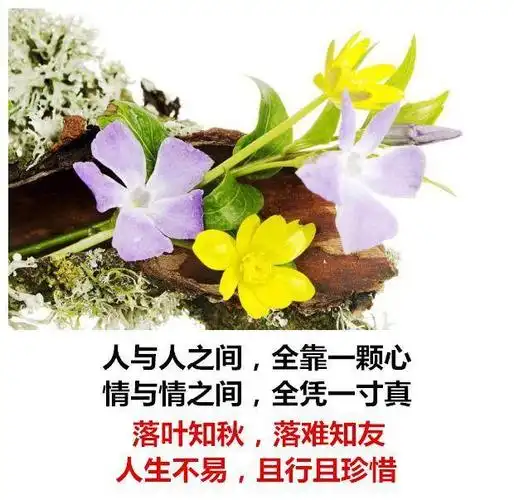 人生不易,且行且珍惜