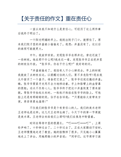 关于责任的作文重在责任心docx2页