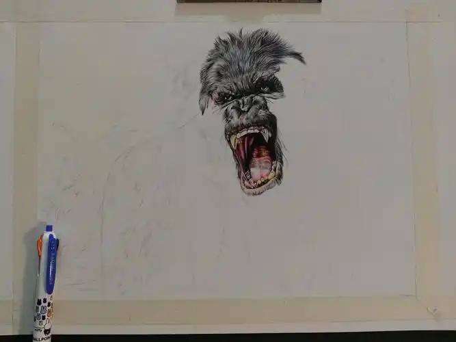 第二十幅彩色圆珠笔作品大猩猩(金刚)|纯艺术|绘画|浩轩手绘_原创作品