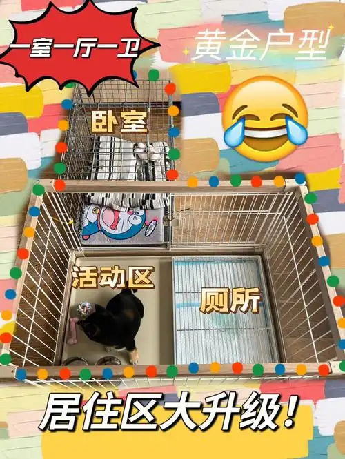 又双叒叕diy改造狗笼子啦