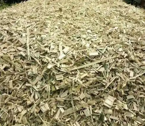 收购新鲜湿竹子的,一般情况下的价格在300元左右一吨,而破碎成竹片后