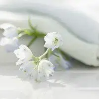 安静唯美风景头像_微信头像图片大全