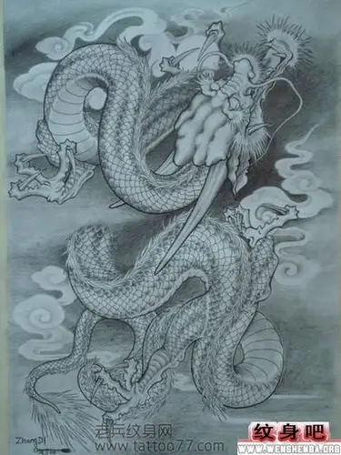 经典的龙纹身纹身手稿