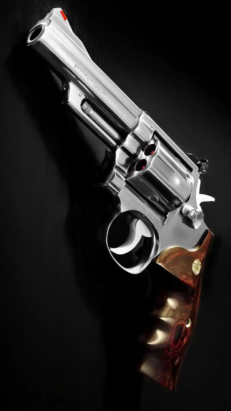 霸气枪械手机壁纸:如果送给你一把,你会选择哪一只呢