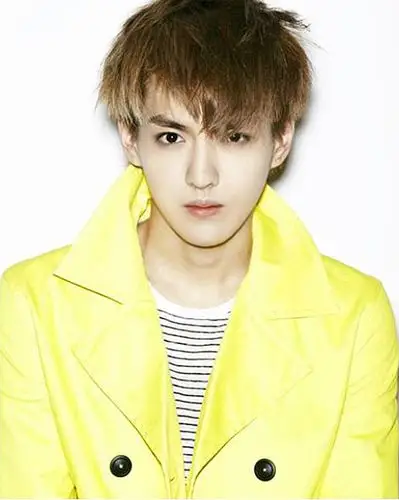 exo-m队长吴亦凡