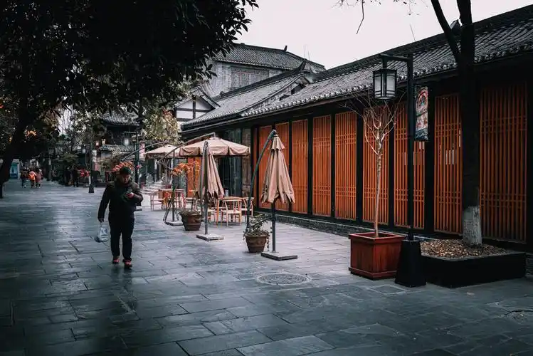 疫情防控,宽窄巷子去不了了,来看看这些绝美照片养养眼吧_成都市