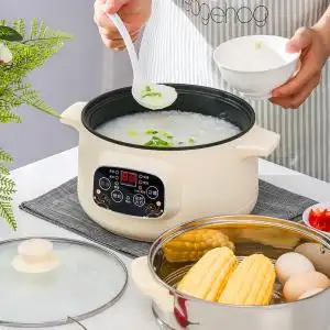 做粥的锅煮粥家用小型早餐煮稀饭智能全自动快速多功能熬粥炖锅