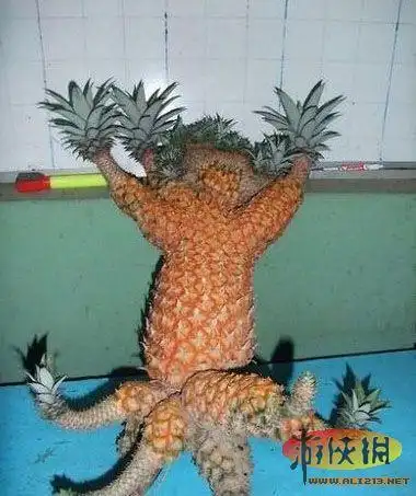 妹子是穿来防蚊引狼的吧 笑死人不偿命囧图来袭