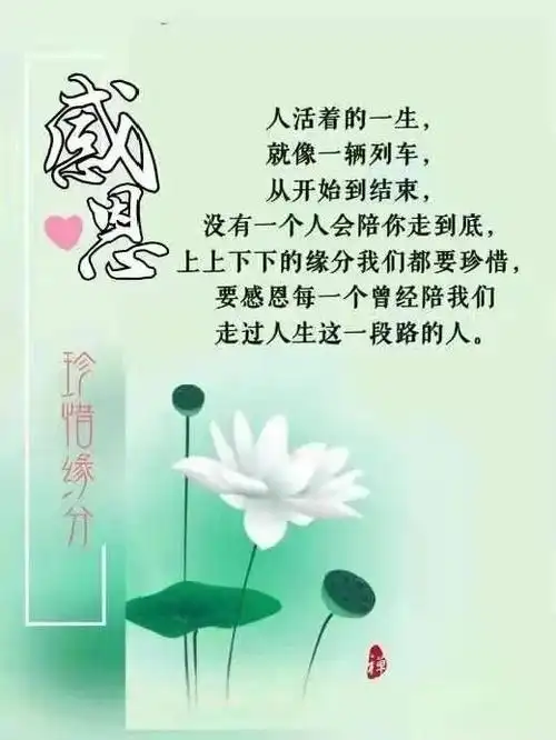 说透人生哲理一段话