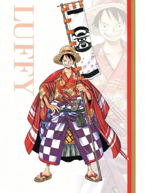 海贼王草帽9人团和之国6767