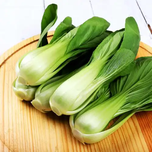 朴愿有机农场有机上海青小青菜400克