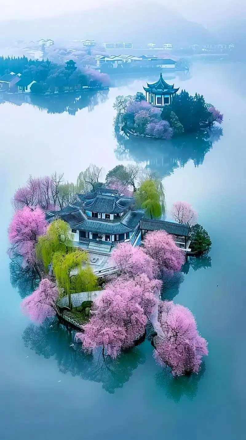 与世无争的桃花岛,真的是世外桃源#春天一定不能错过的美景 # - 抖音