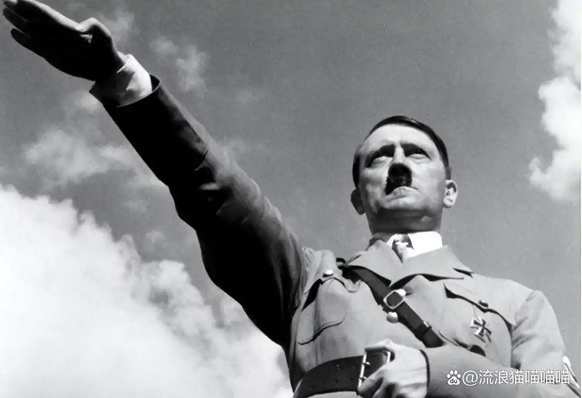 "党卫军上校"这种称呼究竟对不对,二战时德国党卫军有军衔吗?