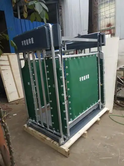 黄南羊智能称重分群