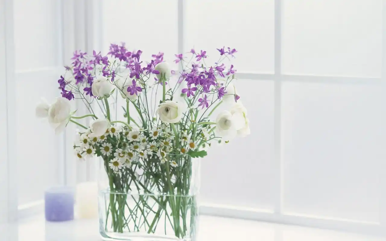 简单可爱小清新鲜花桌面壁纸