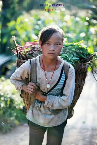 【纪实】贵州贞丰:大山里采药材的小女孩