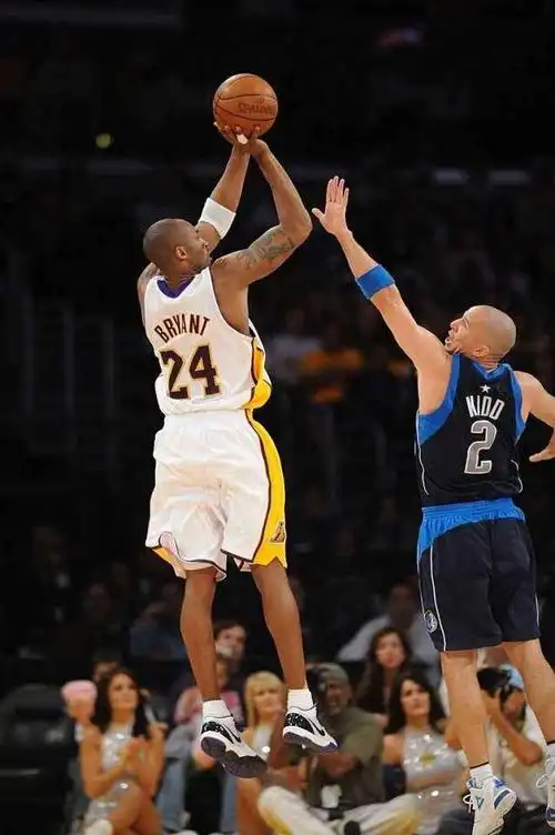 nba投篮姿势最美的五大球员詹姆斯上榜库里第5科比第一