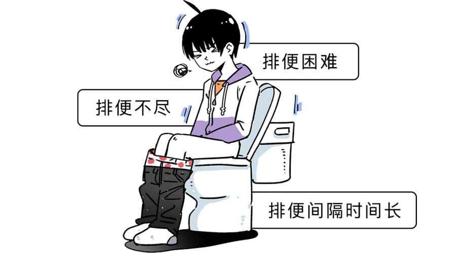 肠道蠕动加快排便就会更加通畅但一般情况下女生每天的运动量会比男生