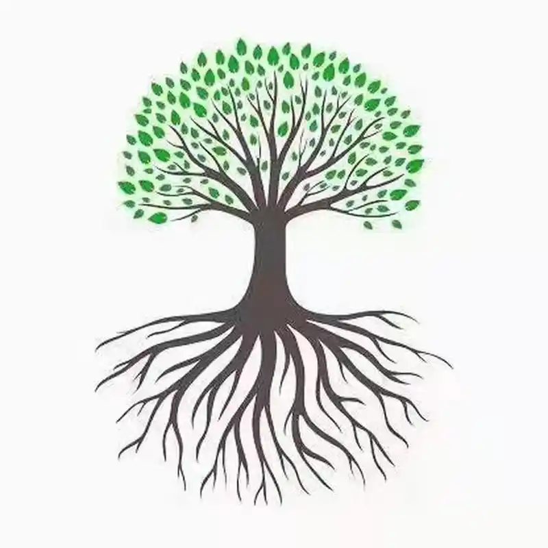 你所看到的枝繁叶茂 是别人拼了命的往下扎根 向下扎根,向上成长 不管