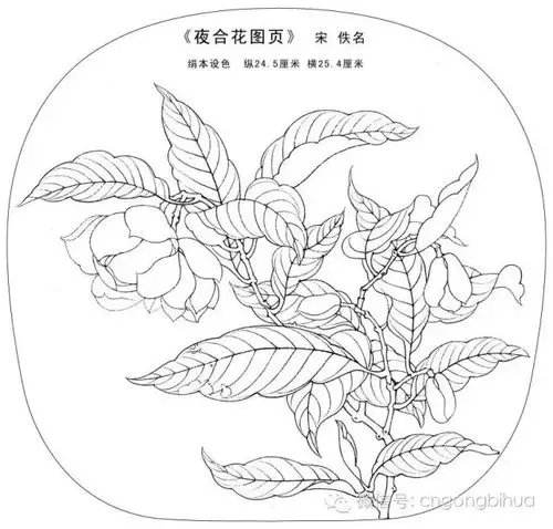 书画鉴赏丨宋画经典花鸟小品白描图稿