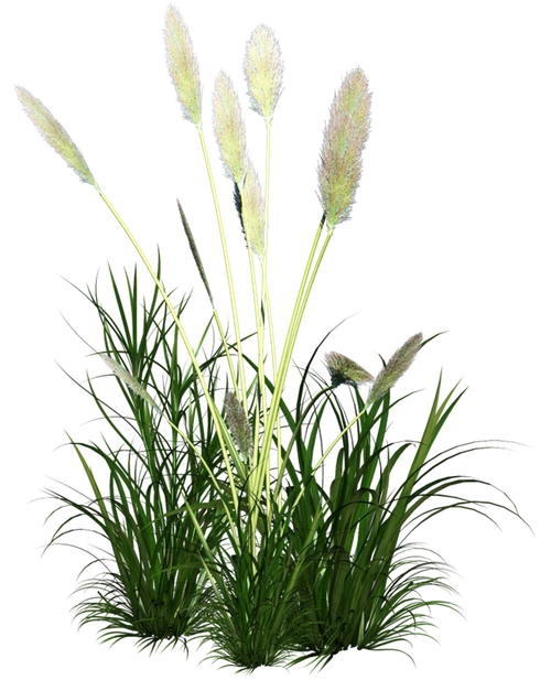 【引用】《春的气息》小草 桃花 png免抠图素材