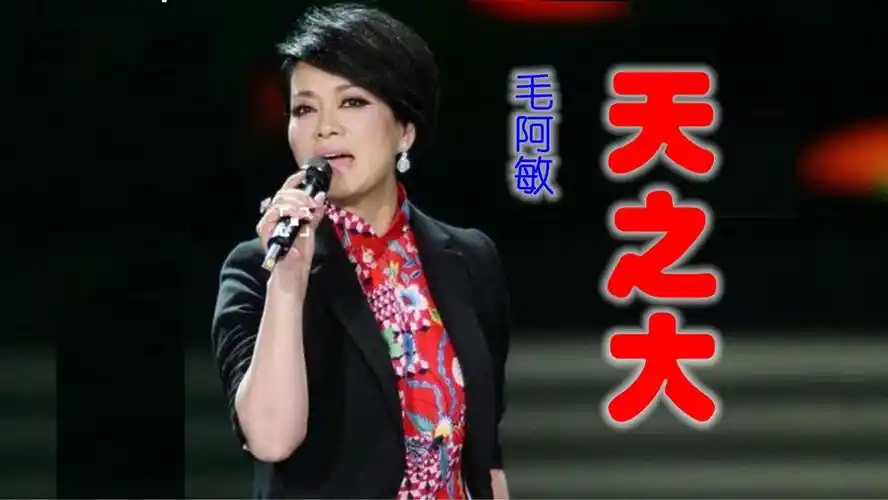 毛阿敏《天之大》,天之大唯有你的爱是完美无瑕!