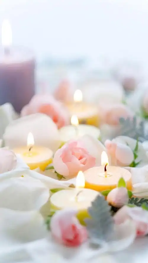 唯美高贵的玫瑰花