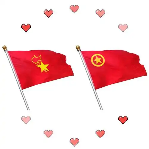 党旗,团旗,队旗党徽 团旗和党旗悬挂顺序图-图片大观-奇异网