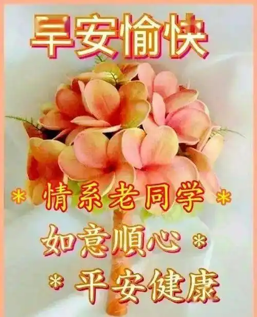 原创8张夏日清晨创意好看老同学早上好图片暖心的老同学早安问候祝福