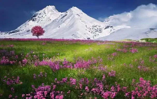 保佑平安顺利的句子句句简短吉祥愿诸事平安万事如意