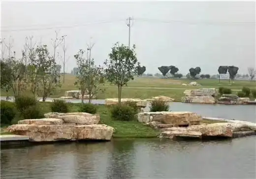 龟纹石河道护坡-驳岸石-安徽顺杰园林工程有限公司