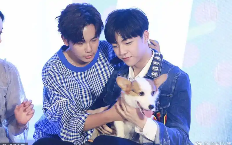 hi室友【陈立农x胡先煦】双十一种草种得都差不多了来看看这是什么