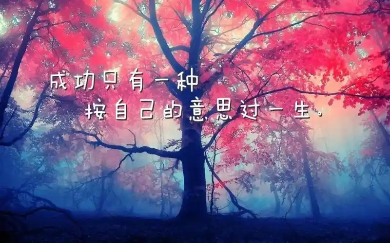 微商早安励志正能量文字语录