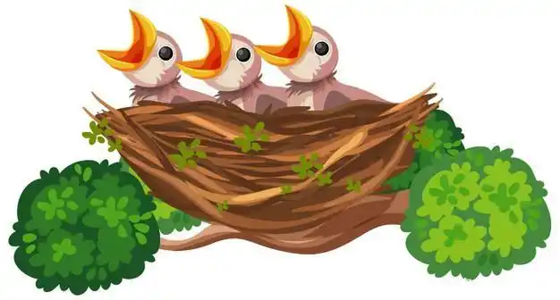 漫画鸟巢,没有焰火盛况,但有温馨自然