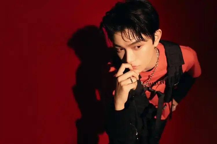 安利我的宝藏男孩丁禹兮