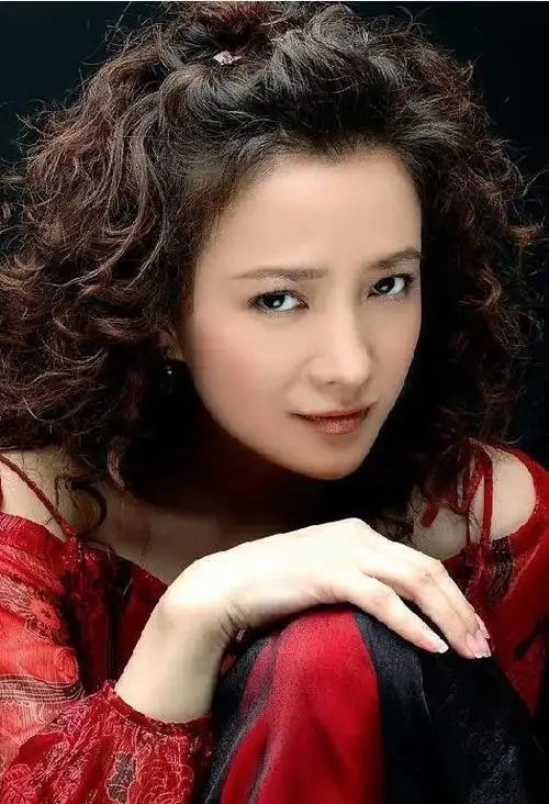 何晴10张精致的照片