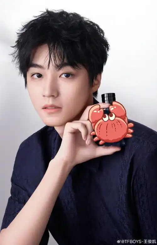 怼脸拍帅迷糊啦@tfboys-王俊凯