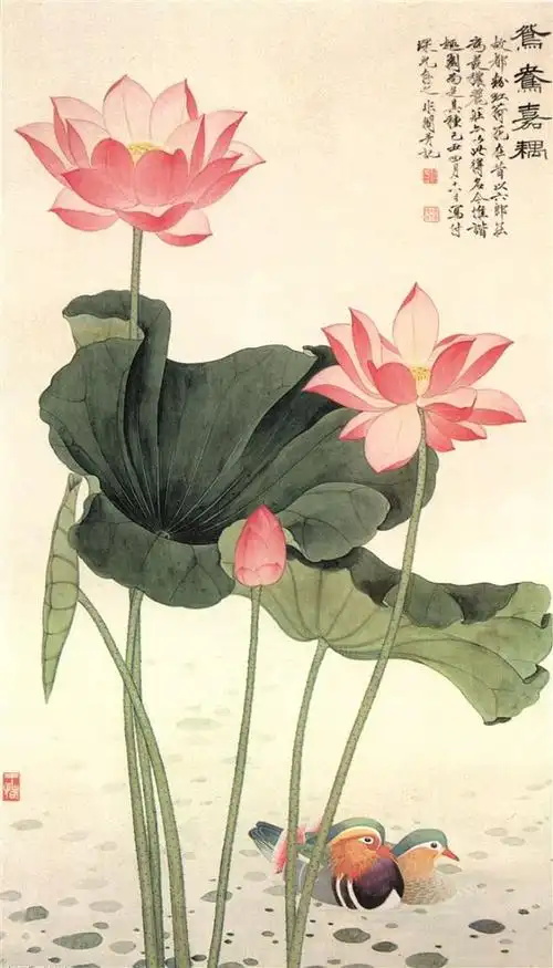 中国风国画荷花