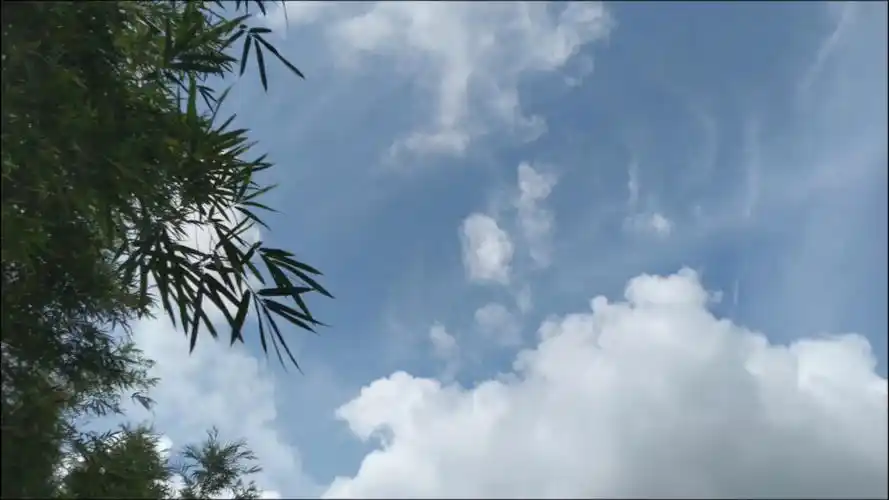 夏晴空多云