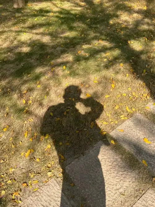 秋风93落叶94.当自己的影子,触碰自己的阳光～才不会被丢垃圾堆.