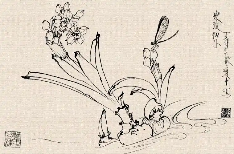 王道中工笔白描花卉欣赏_腾讯新闻