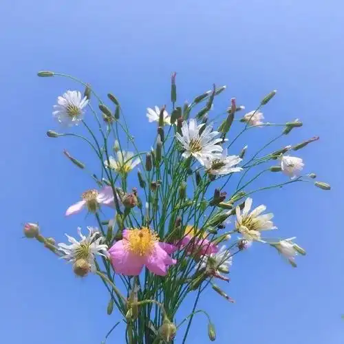 看淡一切释然的说说,发朋友圈引人深思