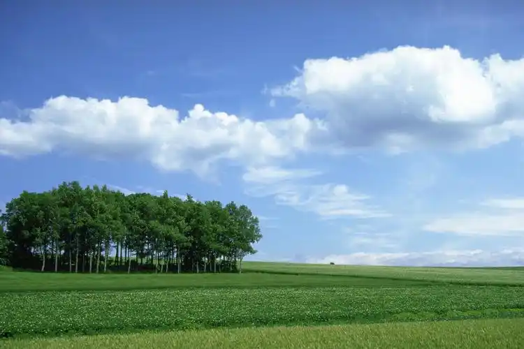 外景-模型组-3d材质贴图-高清材质贴图