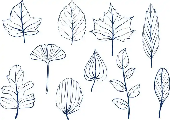 手绘线性树叶素材