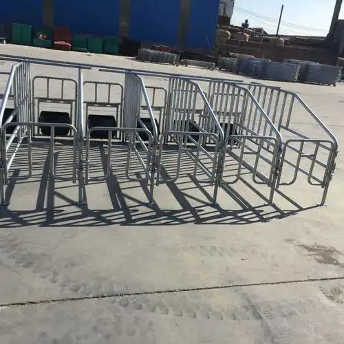 猪用定位栏母猪限位栏母猪复合板限位栏定制